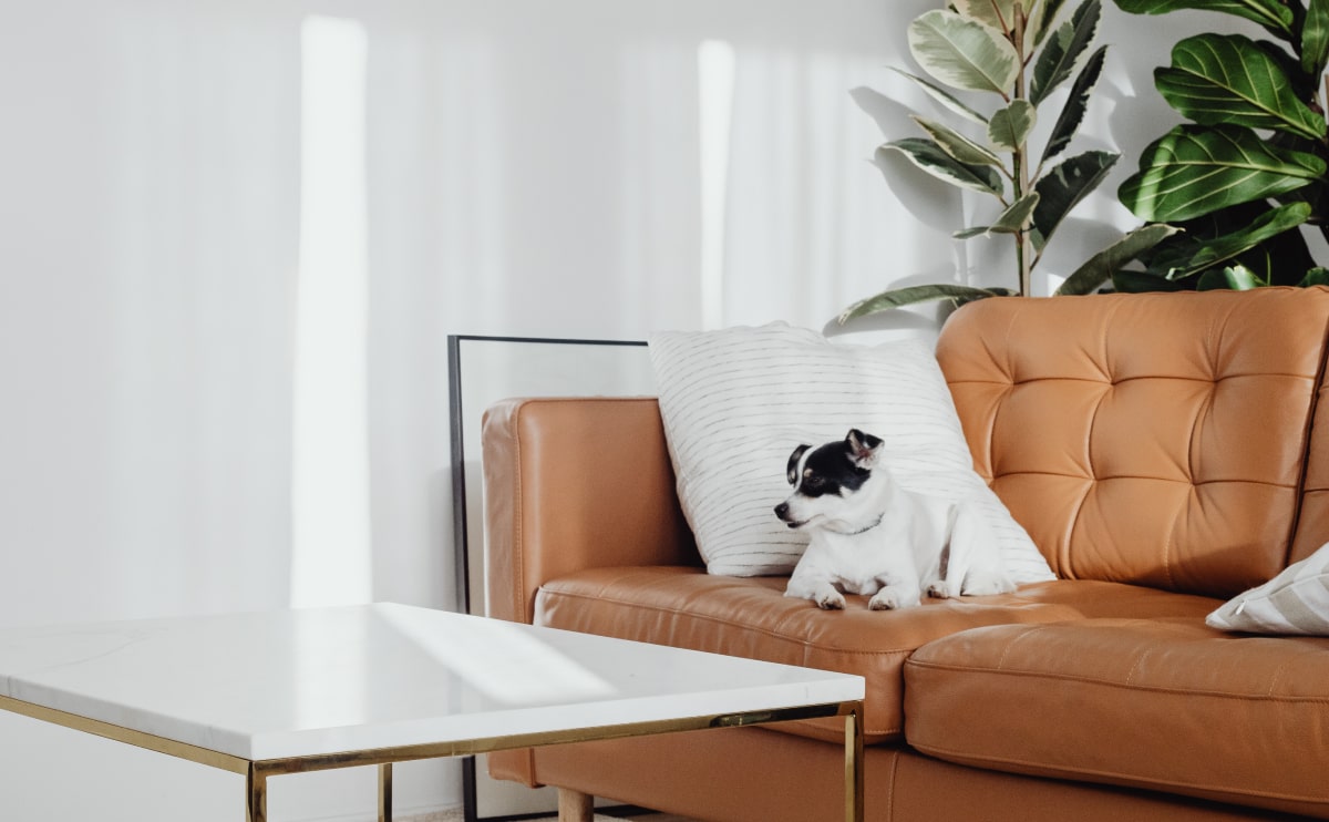 wdfurnitureblog5opt CELUMIS
